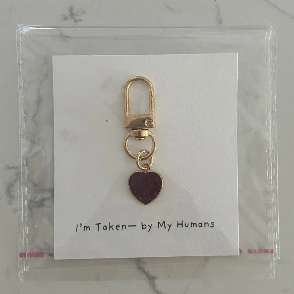 Personalized Heart Charm for Pets, Dog Collar Accessories- NWT